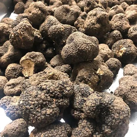 Brufa 3* Monteleone di Spoleto