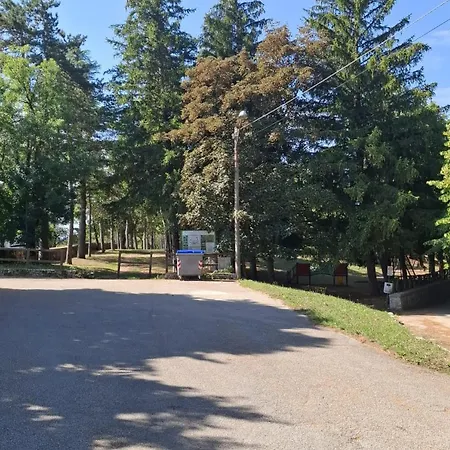 Brufa